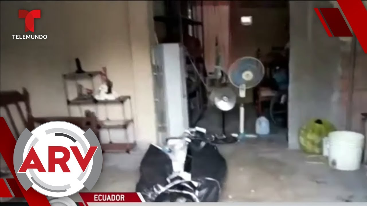 Ecuatorianos denuncian que tienen cadáveres en sus casas por coronavirus | Al Rojo Vivo | Telemundo