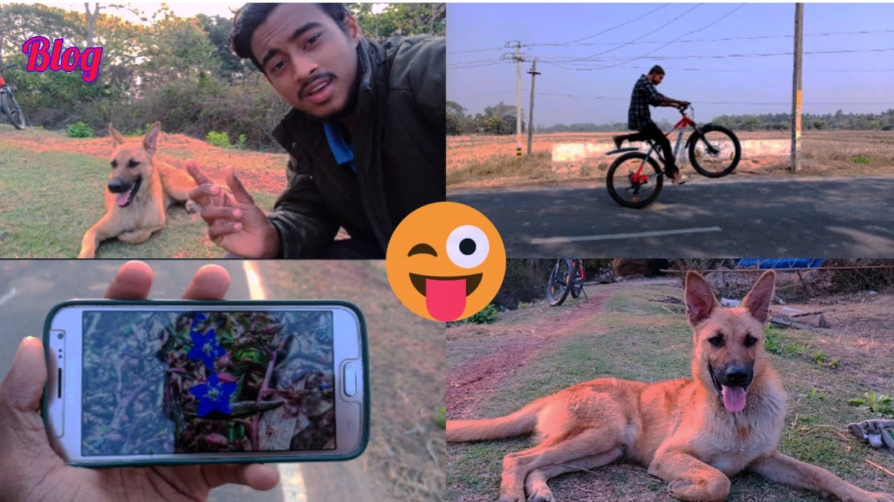 Gaon ka Masti aur adventure 🚲 #viral video #blog