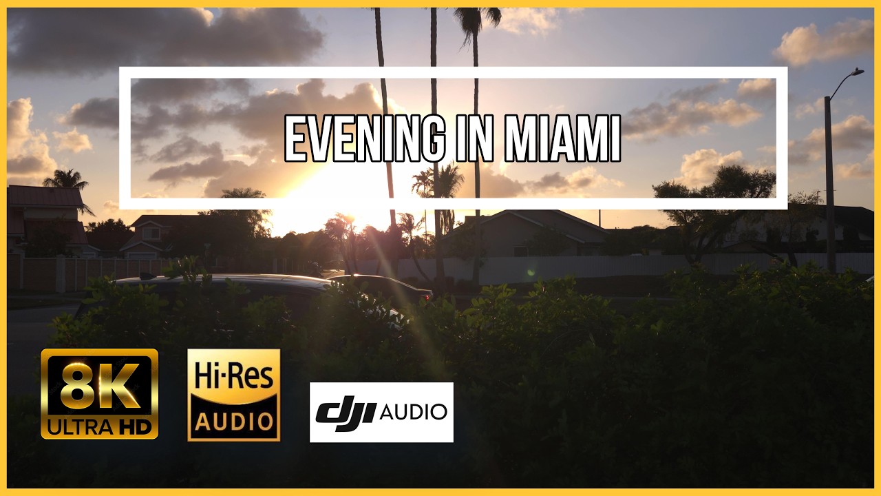 Golden Miami Sunset 8K 🌴 | Authentic Urban Sounds & Evening Ambience