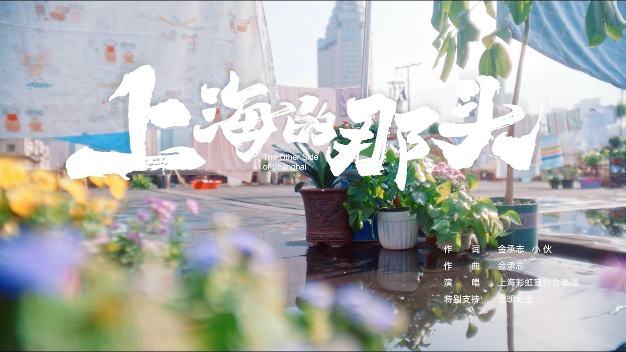 彩虹新作丨上海的那头是什么路，哪一站