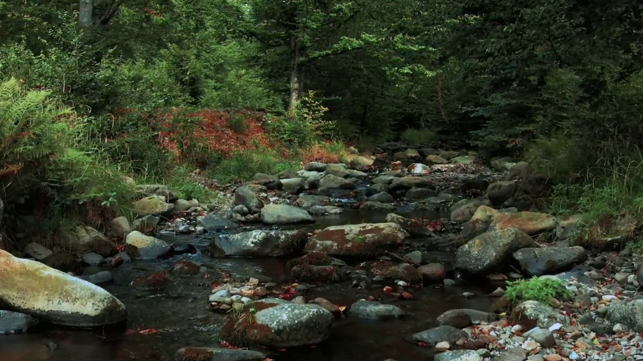 Relaxing River Sounds