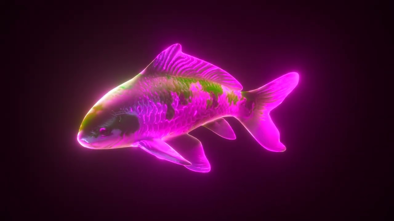 2 Hours 4K Futuristic 3D Neon Koi Fish Hologram Loop I Screensaver for Meditation