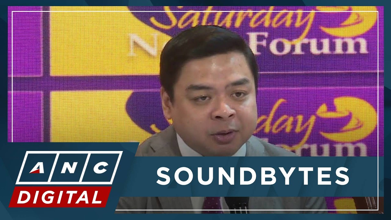 WATCH: Rep. Terry Ridon on Marcos emergency powers, VP Sara Duterte impeachment | ANC