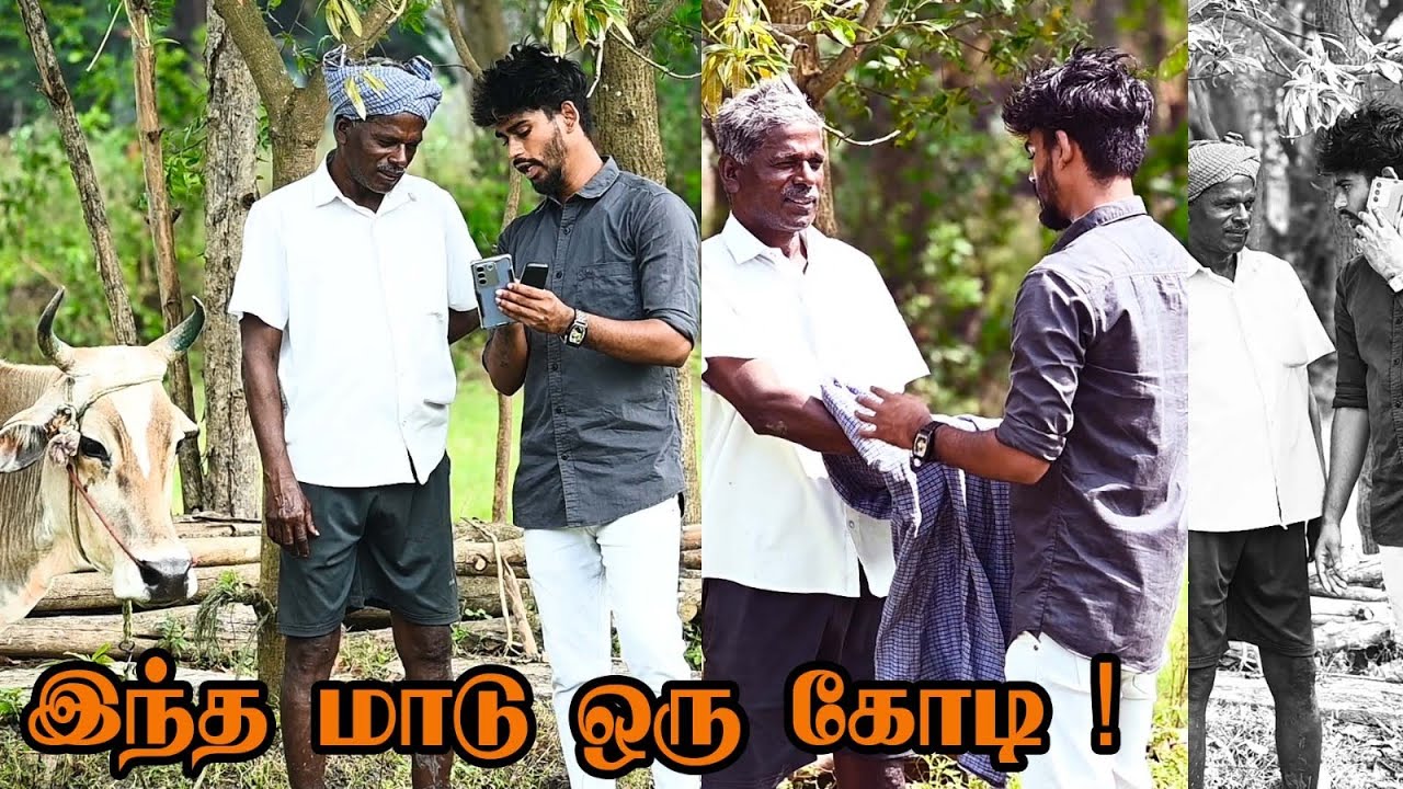 இந்த மாடு ஒரு கோடி | SARMESH COMEDY  PRANK VIDEO | NAGAI 360* FIRE