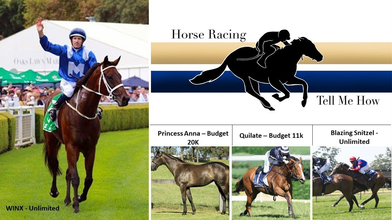 Week 2   Understanding Pedigrees