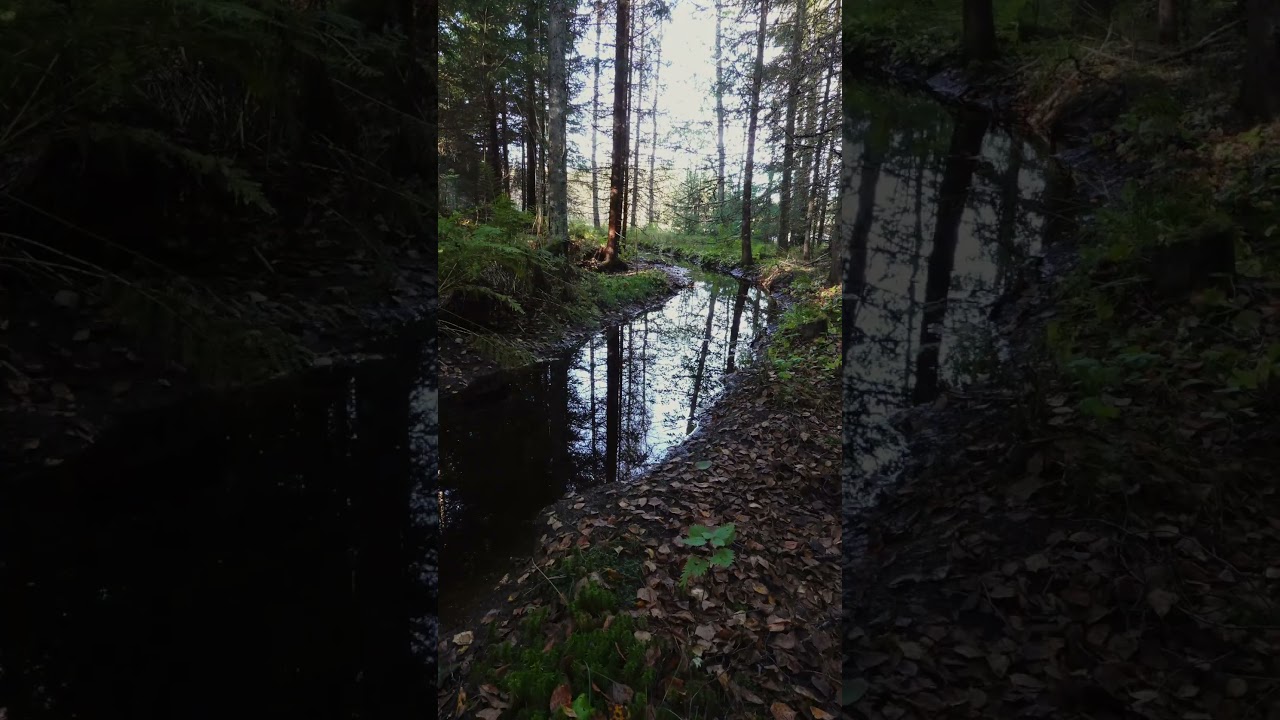 Drain // Timelapse #timelapse #finland  #aesthetic