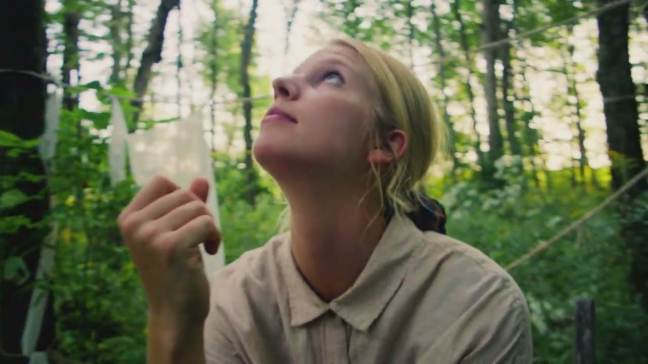 Shaina Hayes - New Favorite (Official Music Video)