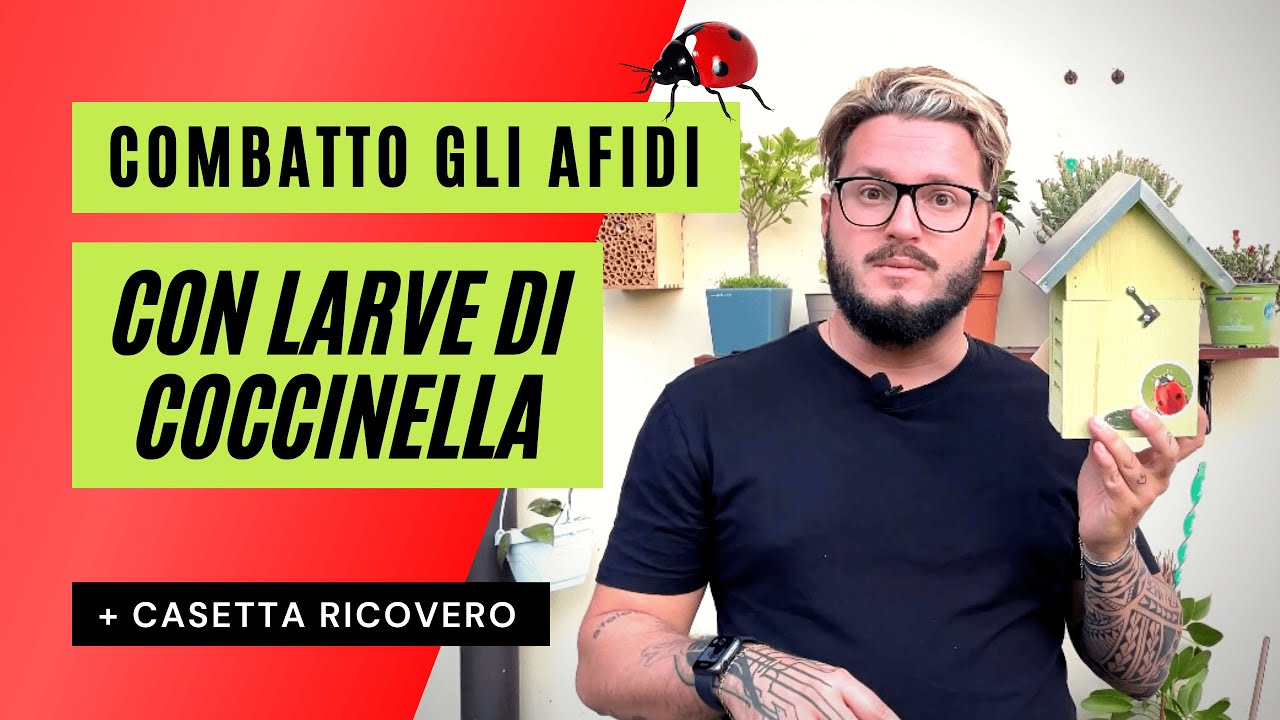 Uso Larve di COCCINELLA contro gli afidi | Unboxing + Casetta