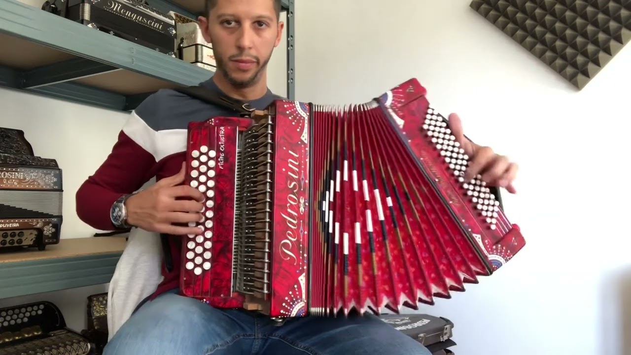 Concertina VS Accordion