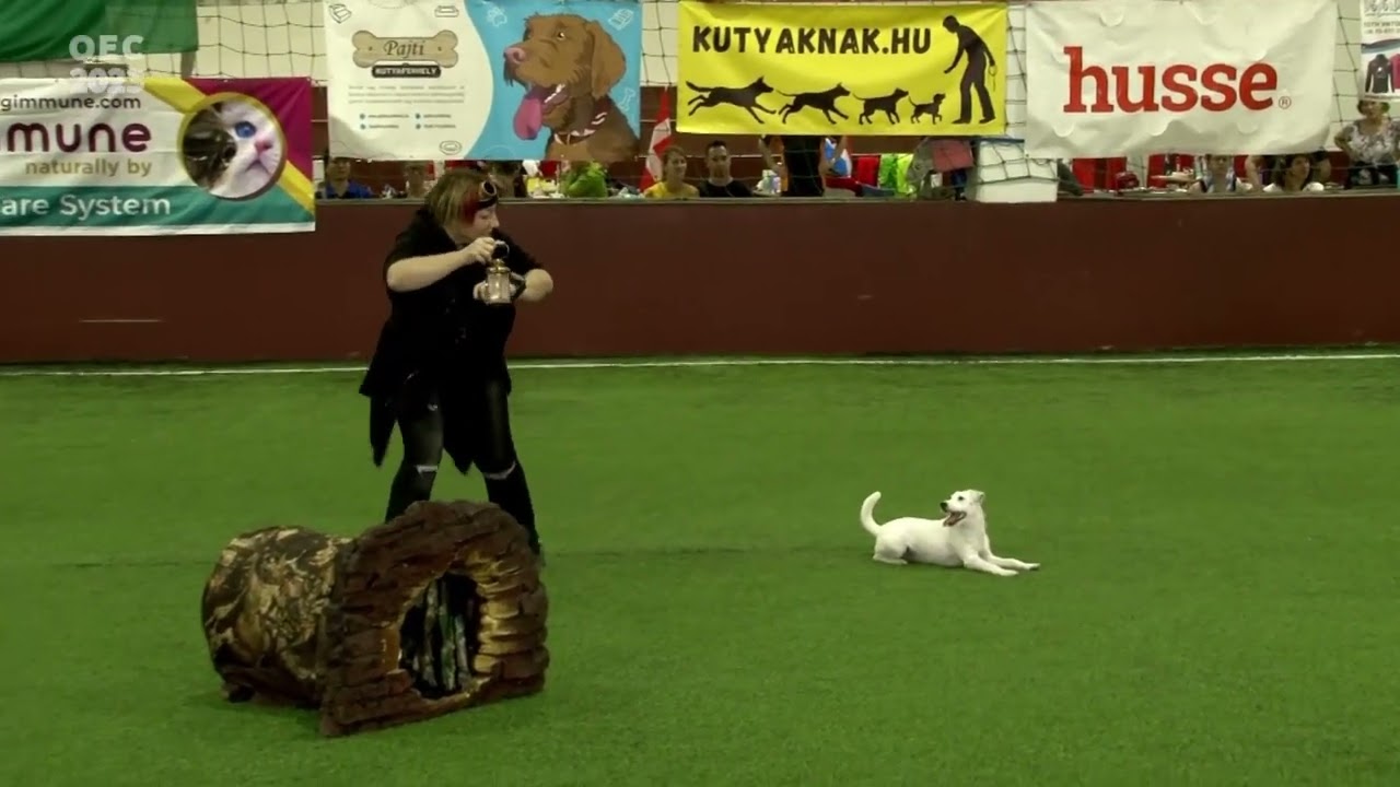 Dog Dancing European Championship 2023 Hungary - Freestyle Qualification   Anna Balaklijec & Nicole