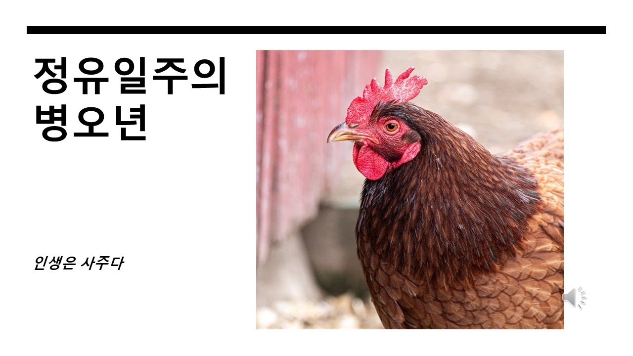 정유일주가 화의 시대 병오년을 사는 지혜로운 방법