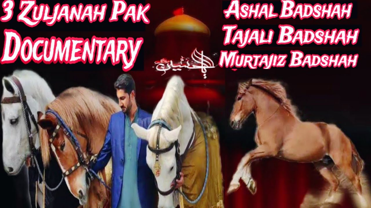 3 Very beautiful zuljanah pak documentary || horse of imam Hussain as || documentary video