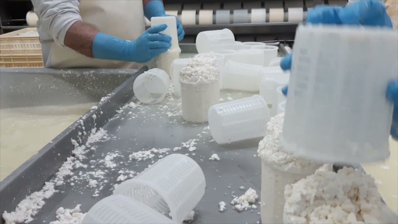 Proceso de elaboración queso Cañarejal - Minuto Zero