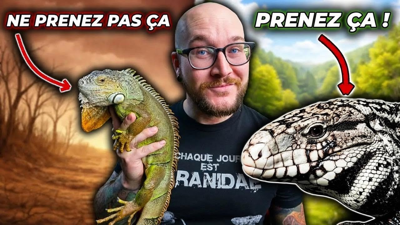 5 reptiles qui paraissent cool mais qu’il vaut mieux éviter !
