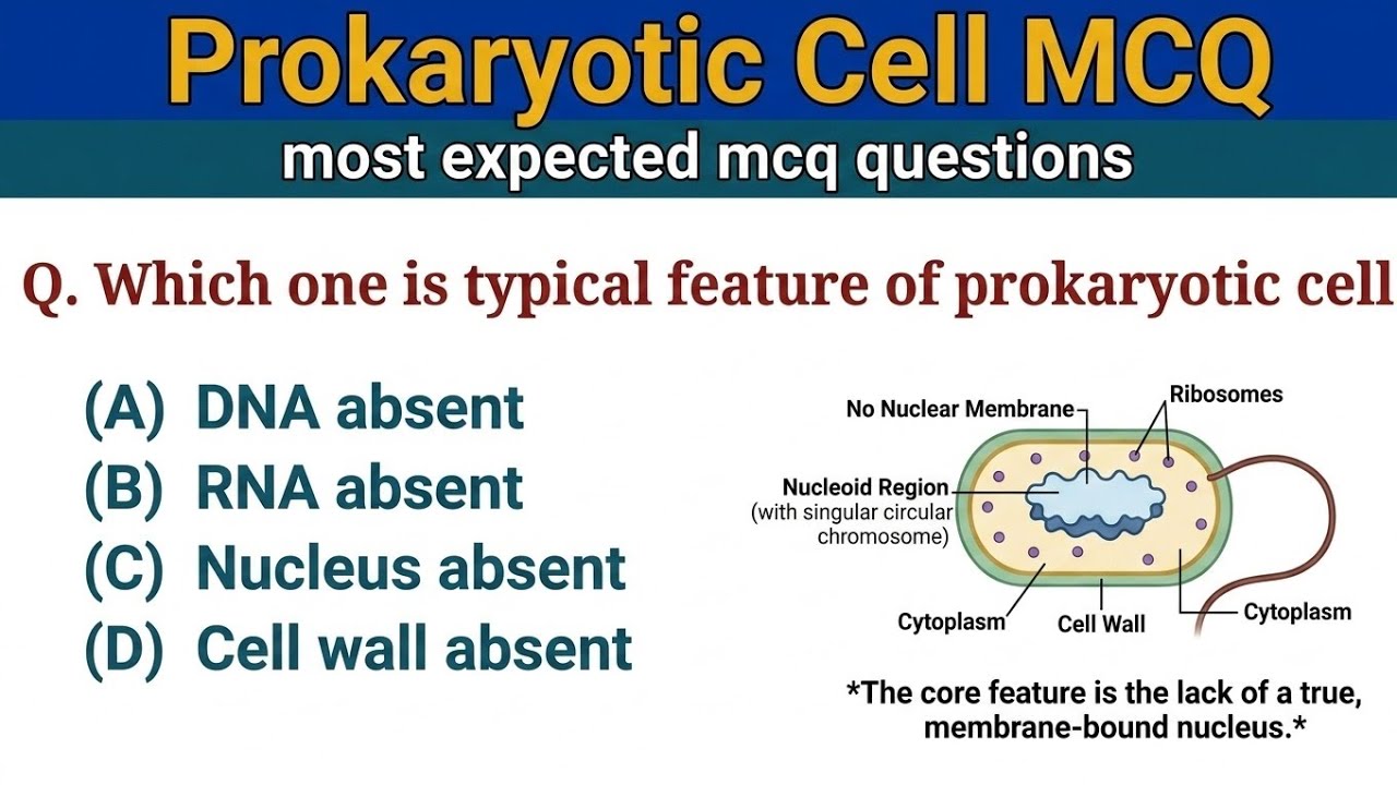 MCQs on Prokaryotic Cell - cell mcq questions- cell mcq questions and answers - biology mcqs