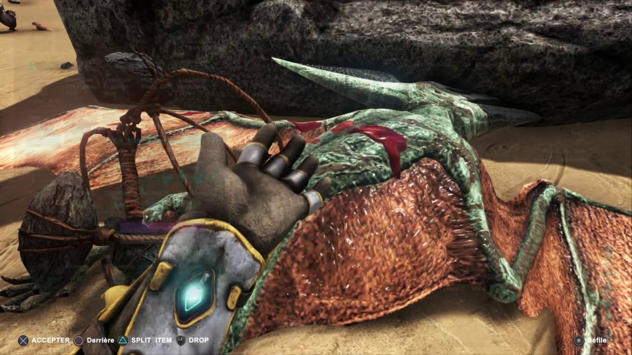 Trucs et Astuce #14 : COMMENT TAMER UN PTERA THL FACILEMENT ARK: Survival Evolved