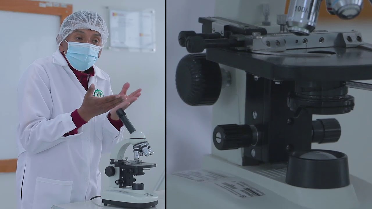 Laboratorio Biología 2 - Microscopio: Partes, usos y cuidado