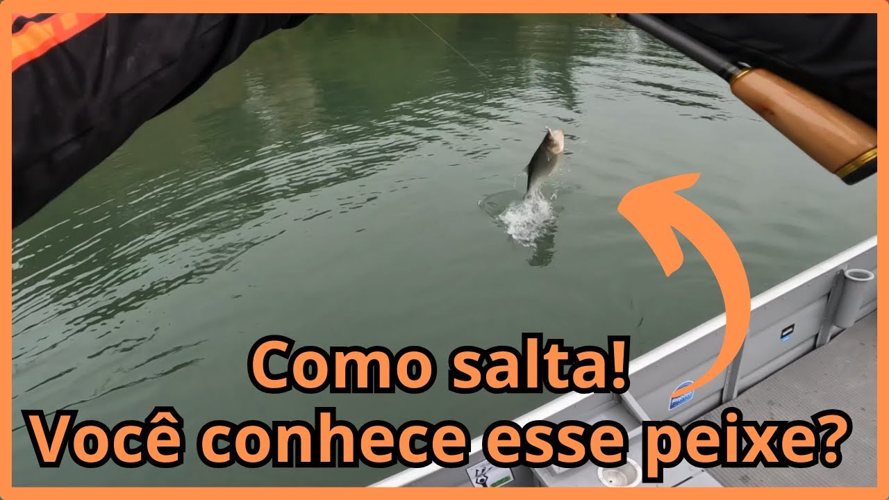 Como salta! Conheça a pescaria da Piabanha