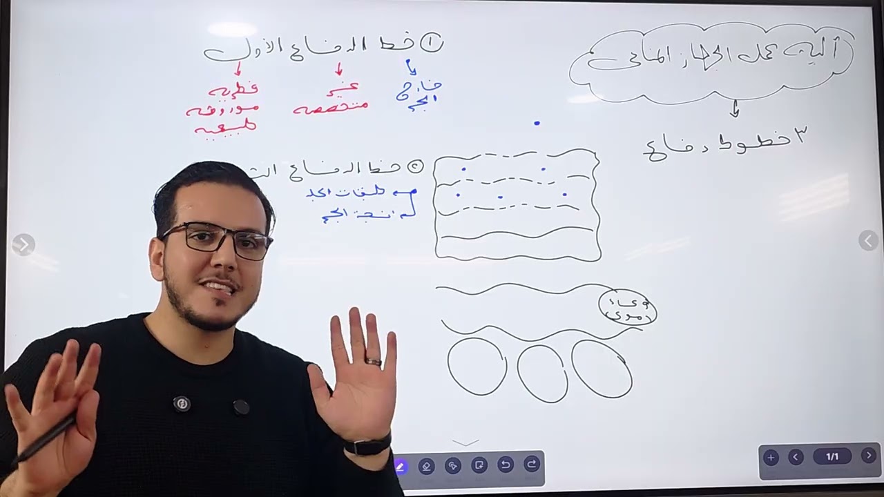 آلية عمل الجهاز المناعي | خط الدفاع الأول والثاني - احمد ابراهيم - احياء ٣ث 