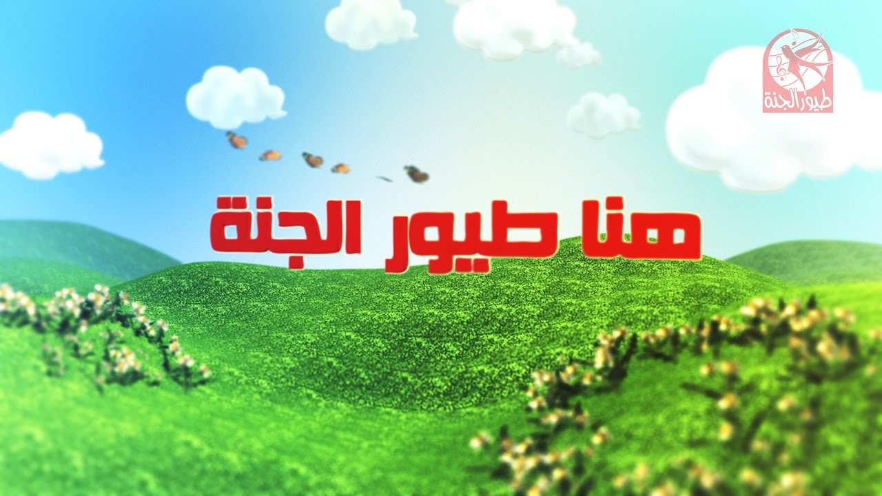 هنا طيور الجنة