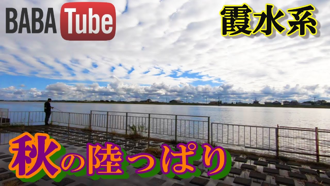 BABATube【霞水系】秋の陸っぱりのススメ