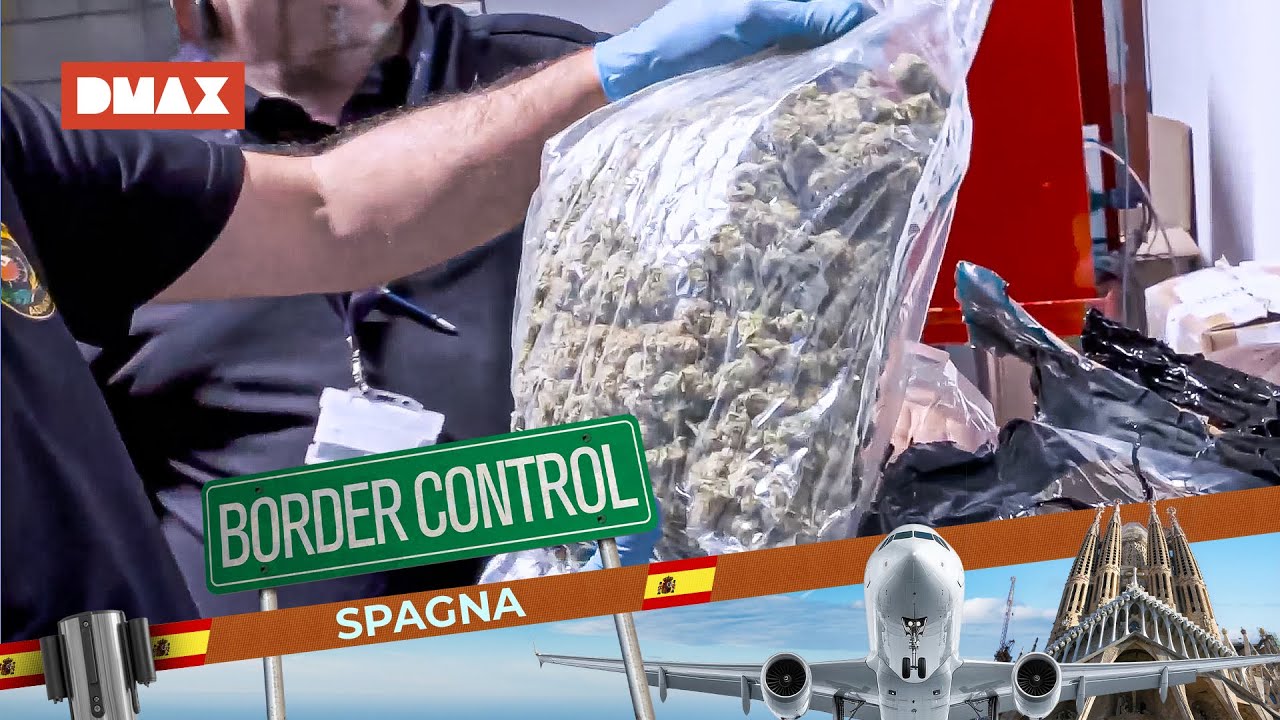 12kg di cocaina dal valore di 420k euro nascosti in tonnellate di frutta | Border Control Spagna