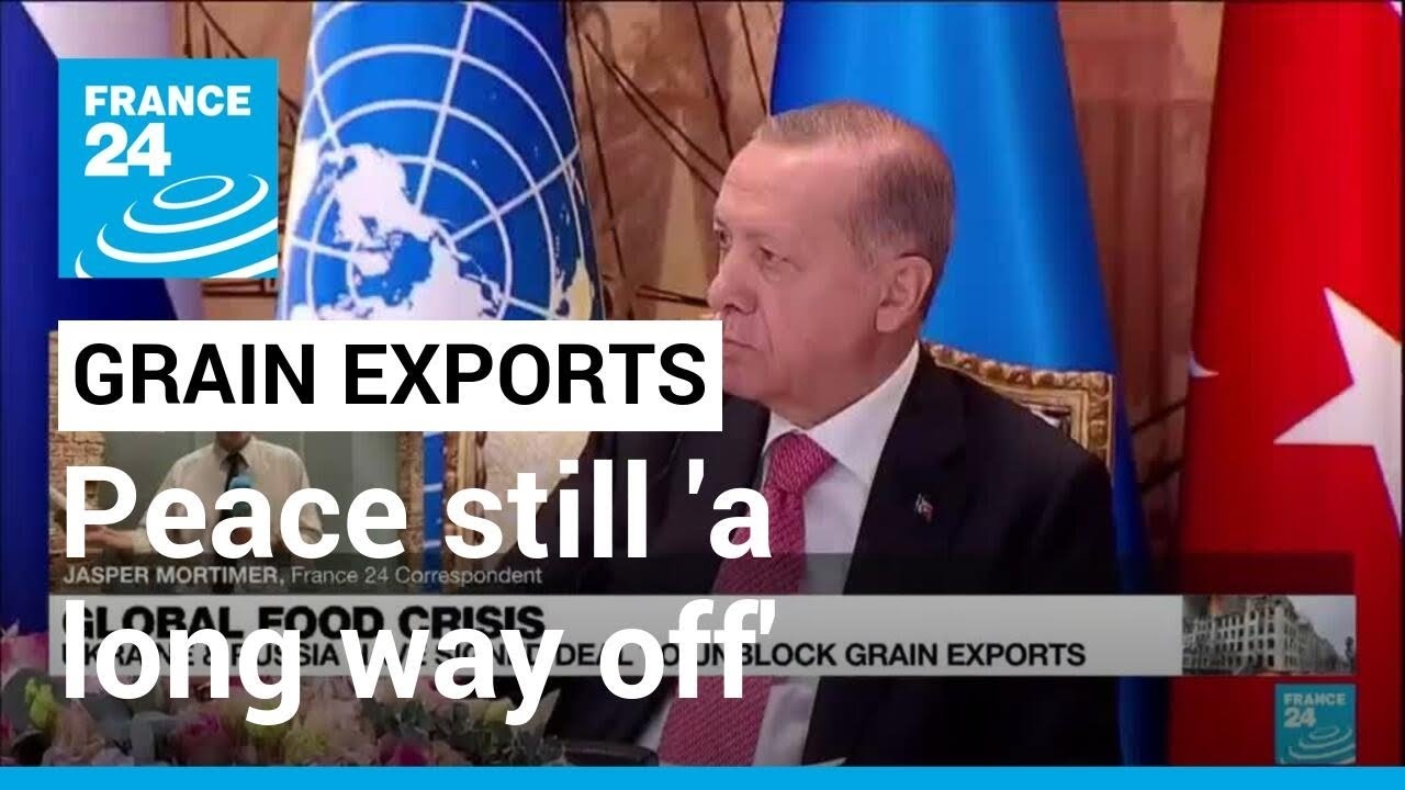 UN-led deal to ensure safe export of Ukraine's grain, peace still 'a long way off' &bull; FRANCE 24