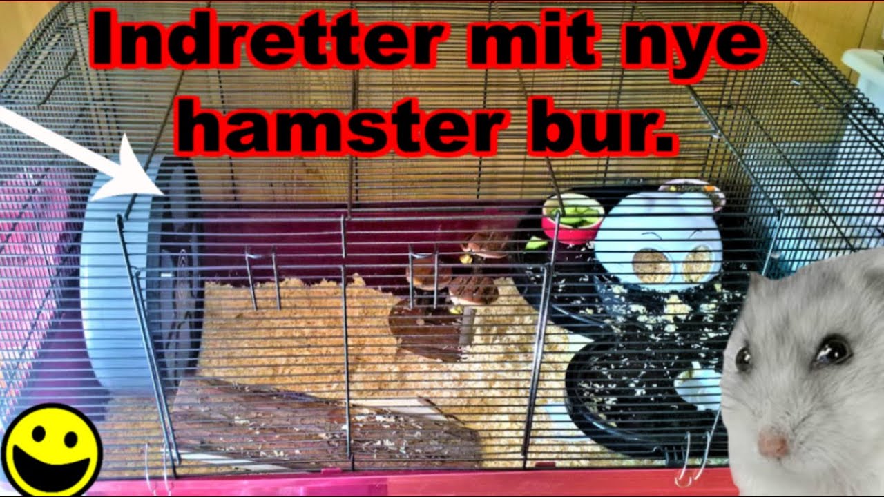 Indretter mit nye hamsterbur.