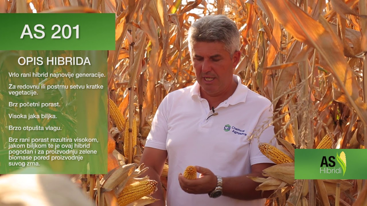 Sve o AS 201, ranom hibridu najnovije generacije