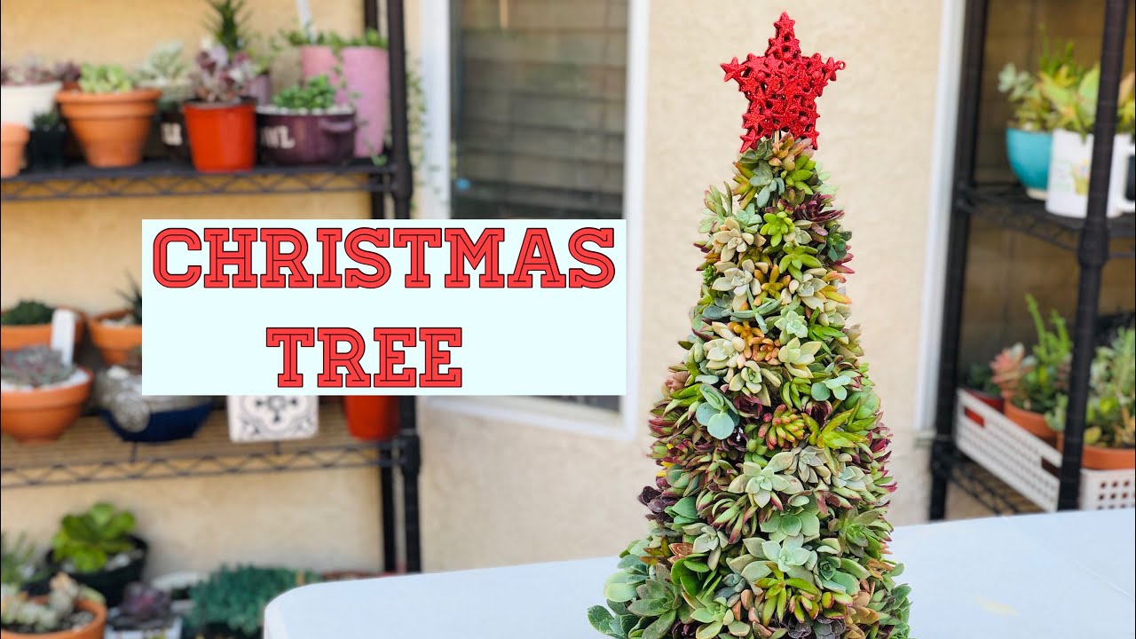 DIY Succulent Christmas tree