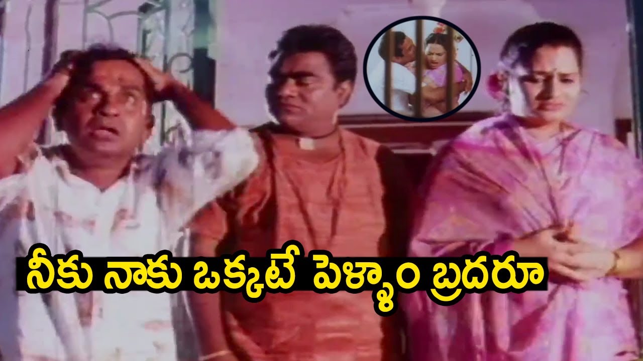 ఈ ఇద్దరి కామెడీ చూస్తే నవ్వి నవ్వి చస్తారు భయ్యా | Babu Mohan & Brahmanandam Hilarious Comedy Scenes