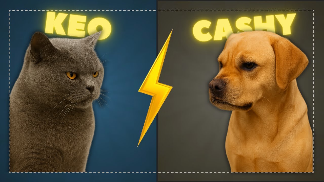 Epic Dog vs Cat Fight 😂🐾 | Funny Pet Vlog India