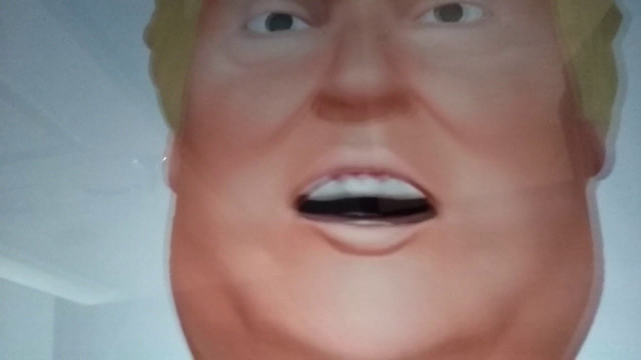 Donald trump dab