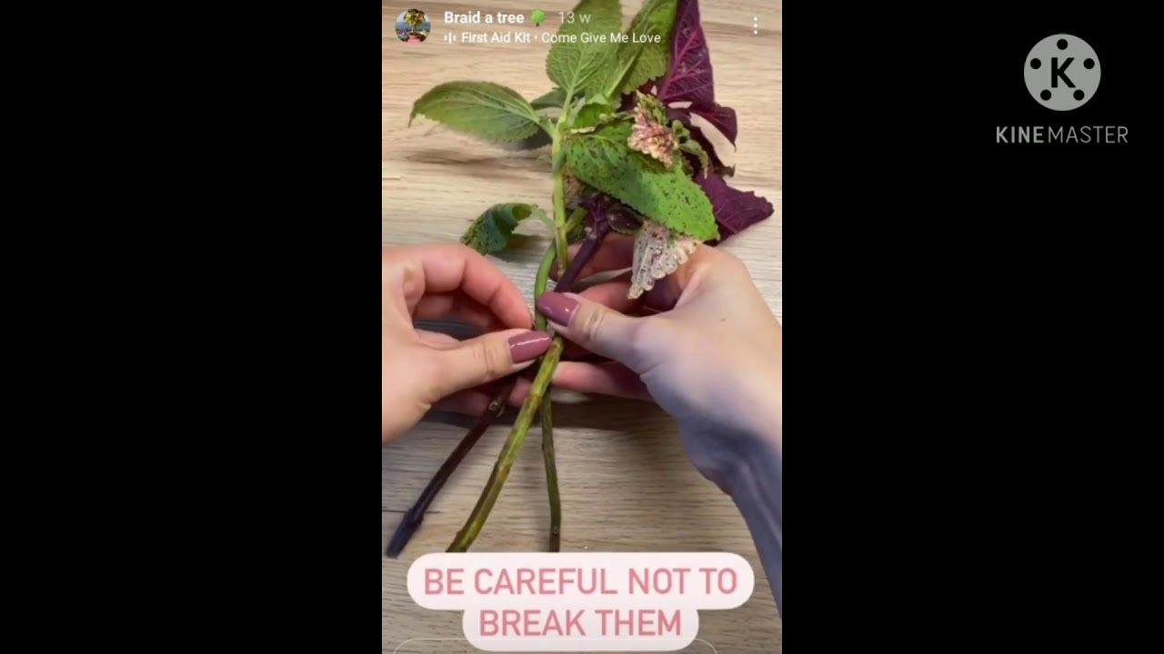 Coleus Tree- Braid Tutorial @klorofyllan-sweden