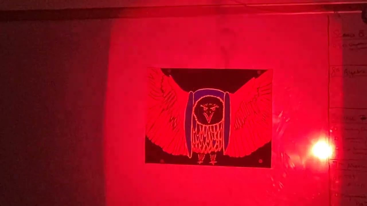 MS Light Projection Videos 1