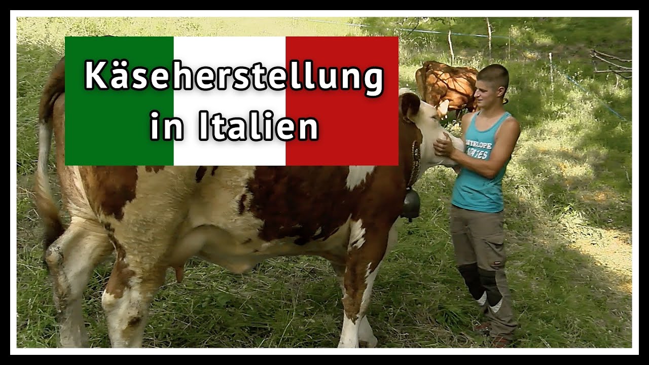 Nachhaltige Käseherstellung in Rimella | Kulturen im Fokus