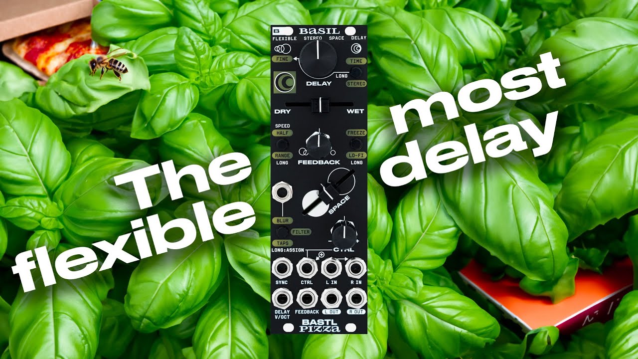 BASIL the Flexible Stereo Delay - Audio Examples