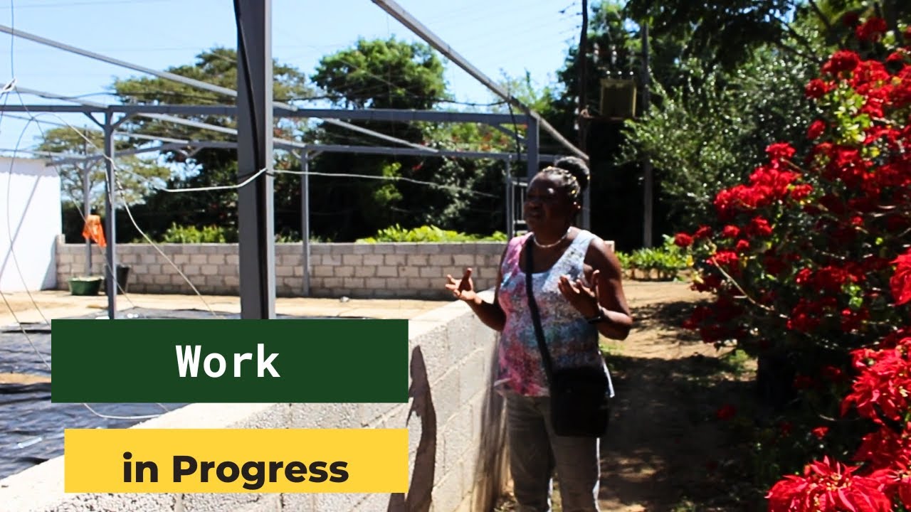May Greenhouse Update | Exotic Gardens