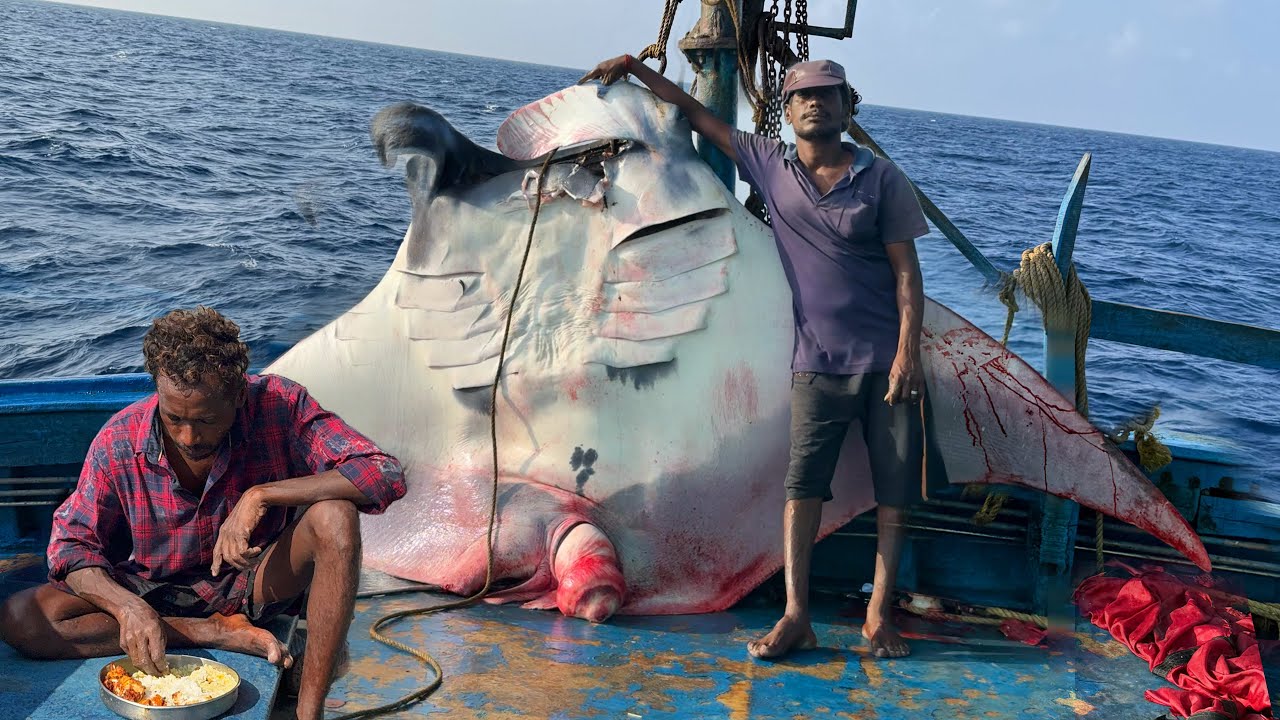 Massive Biggest Fish Catch 🤩 | Fifth Day in the Deep Sea | Delicious Food on Board