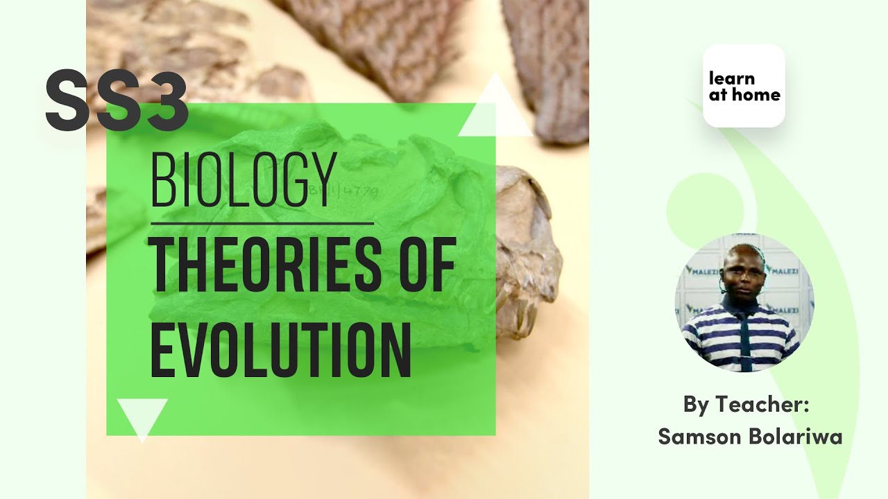 SSS3 Biology: Theory of Evolution