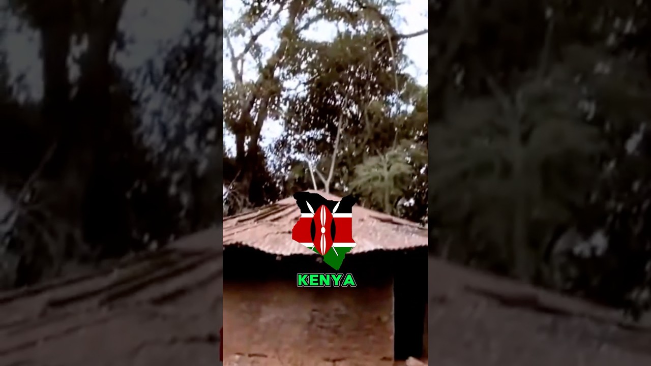 What is the DNA mix of Kikuyu of Kenya? #dna