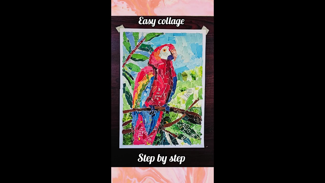 Parrot collage | parrot collash #video