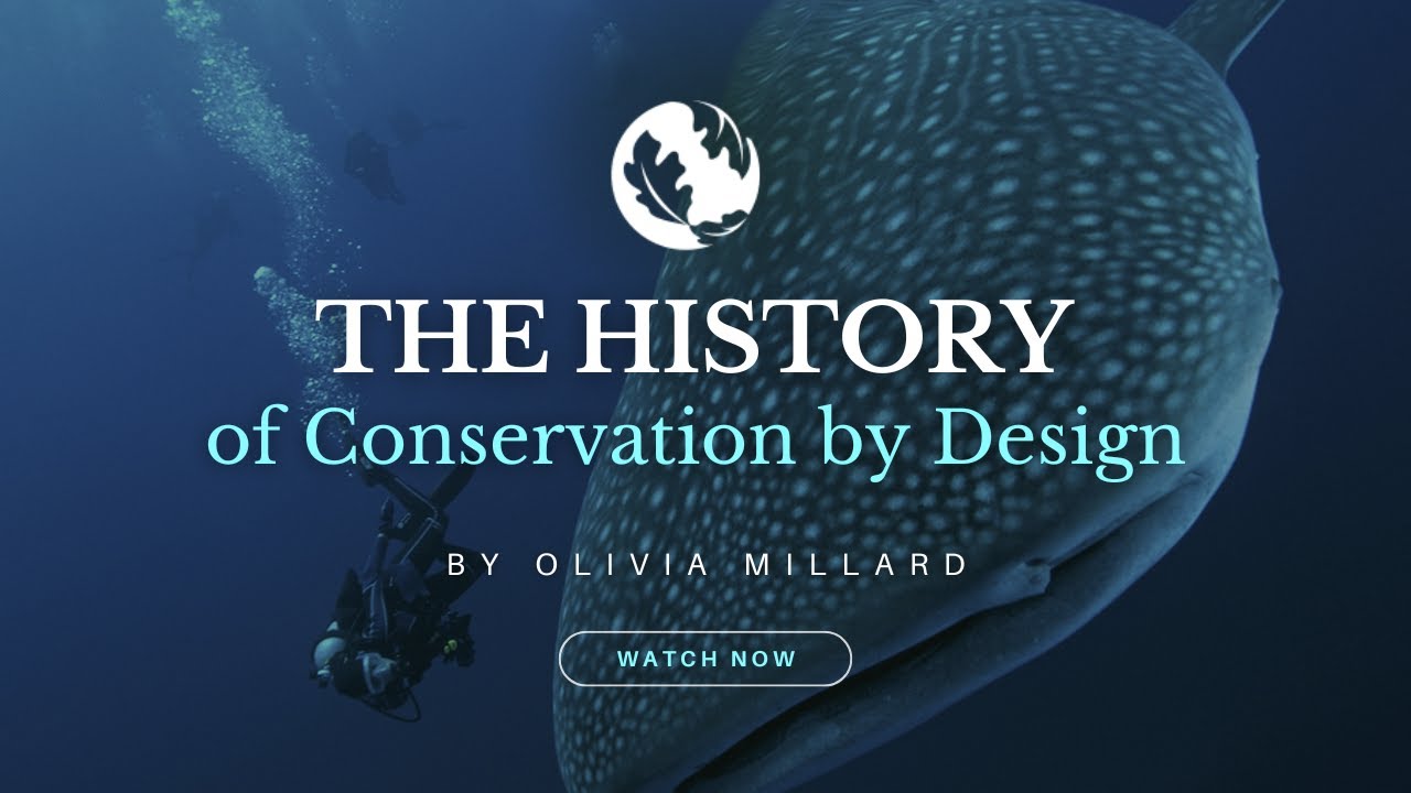 The History of Conservation by Design