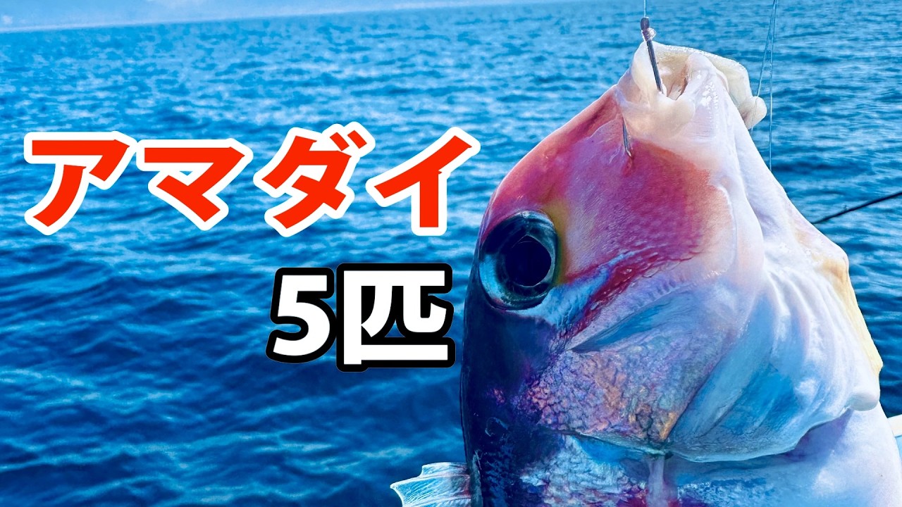 【東京湾LTアマダイ#1】久しぶりのアマダイ釣り！本命5匹ゲット