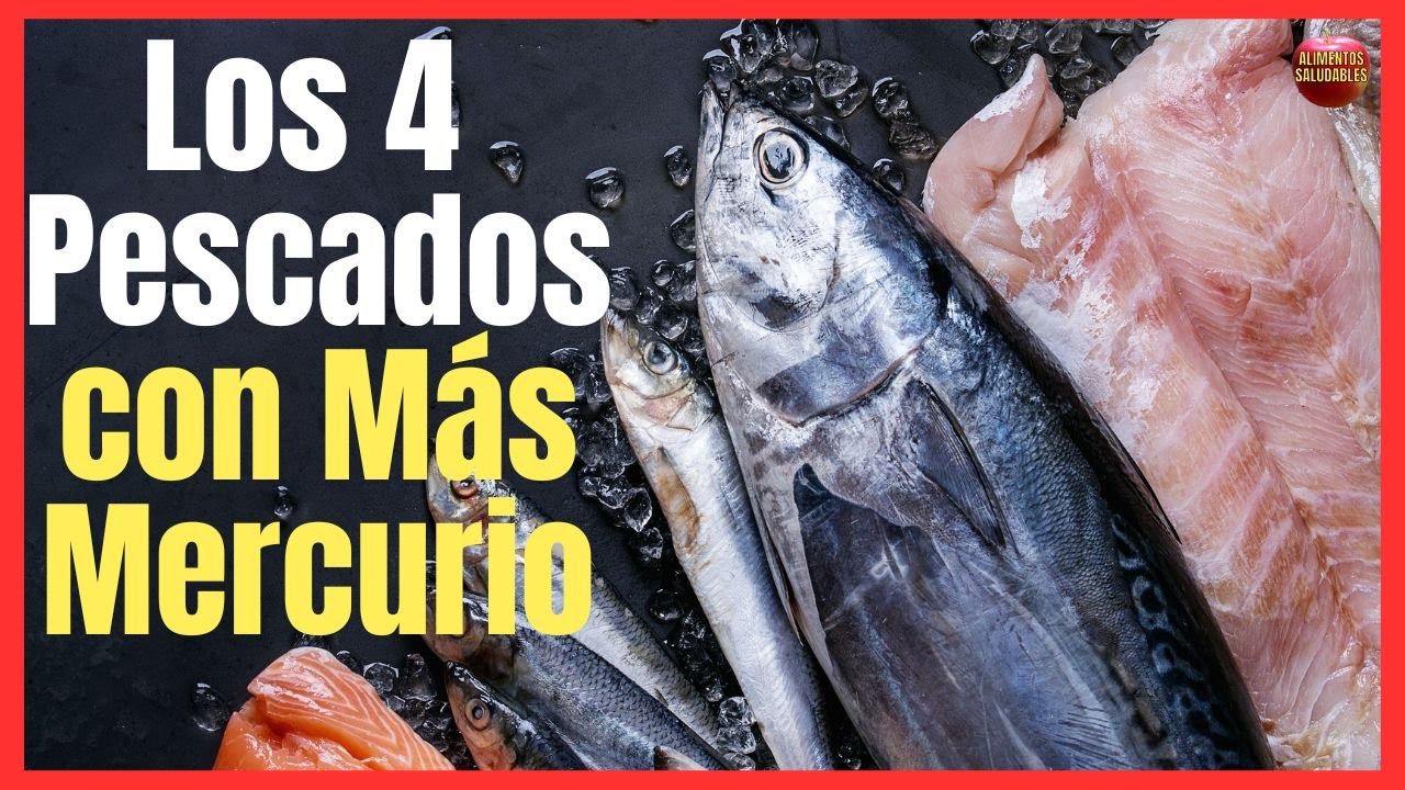 ⚠️ LOS CUATRO PESCADOS CON MÁS MERCURIO ⚠️ (PROHIBIDOS PARA EMBARAZADAS)