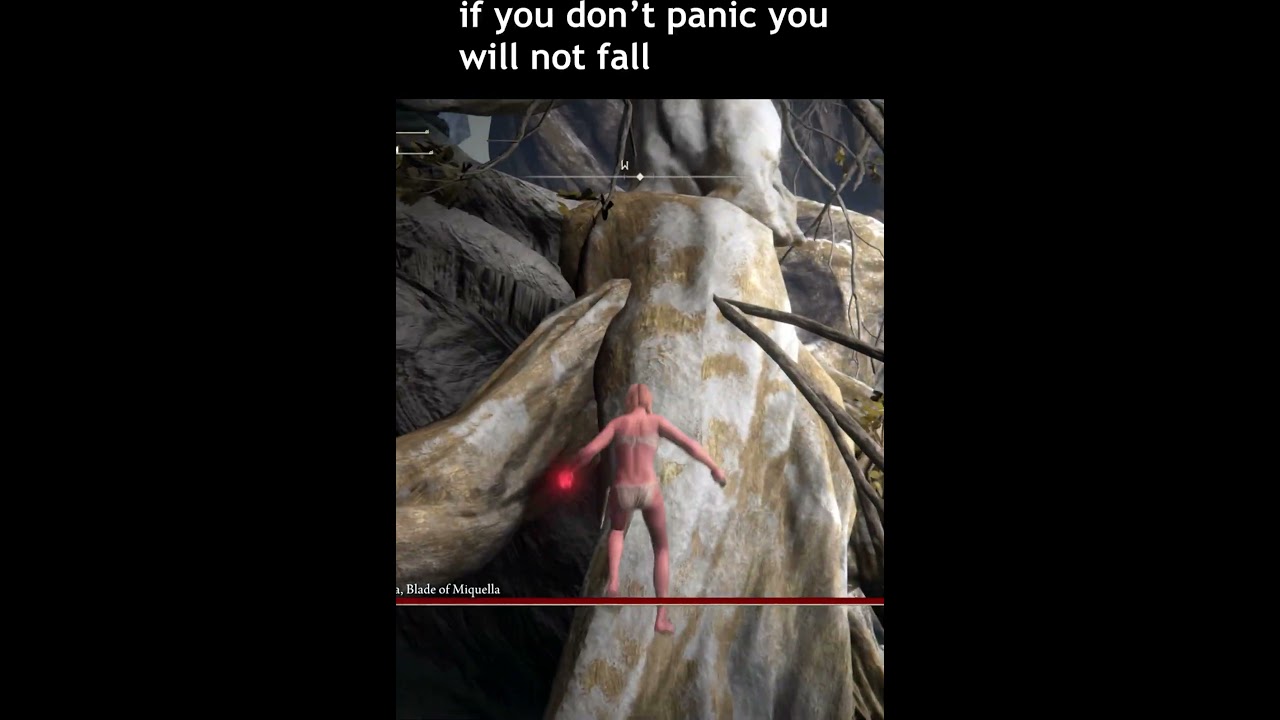 Malenia cheese ( climbing branch ) 27 May 2025 Works  #eldenring