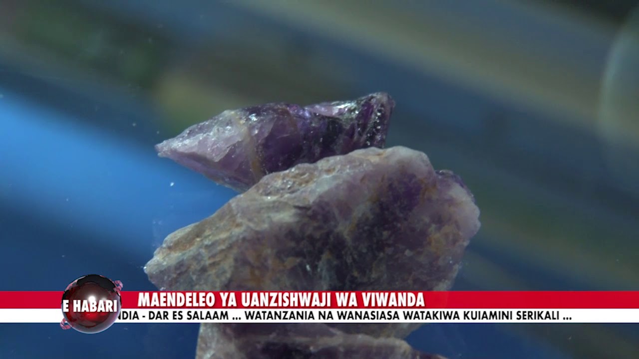 Theresia Mosha Mratibu wa Mradi wa IMTT unaoendeshwa kwa kushirikiana na Kampuni na Migodi