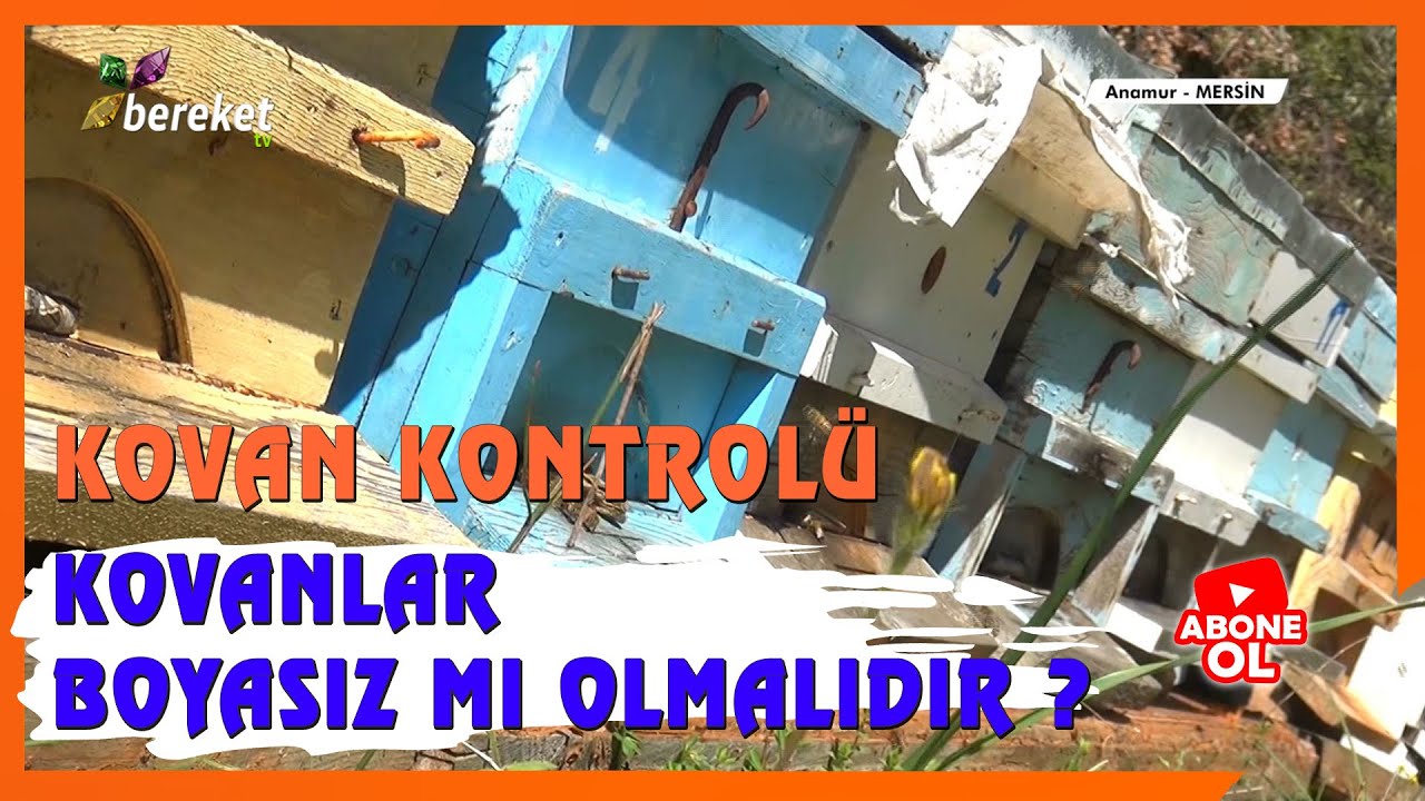 Arı Doktoru - Hobi Olarak Başlayan Arıcılığın Hikayesi
