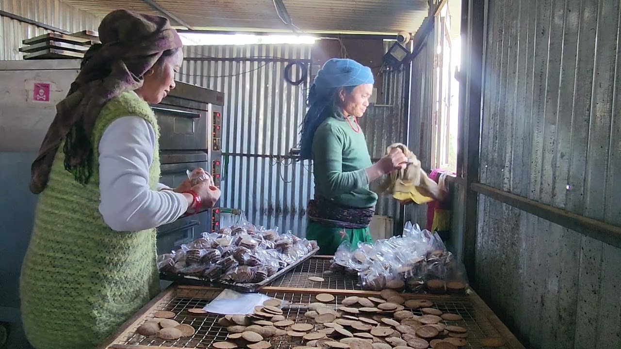 Production of biscuit