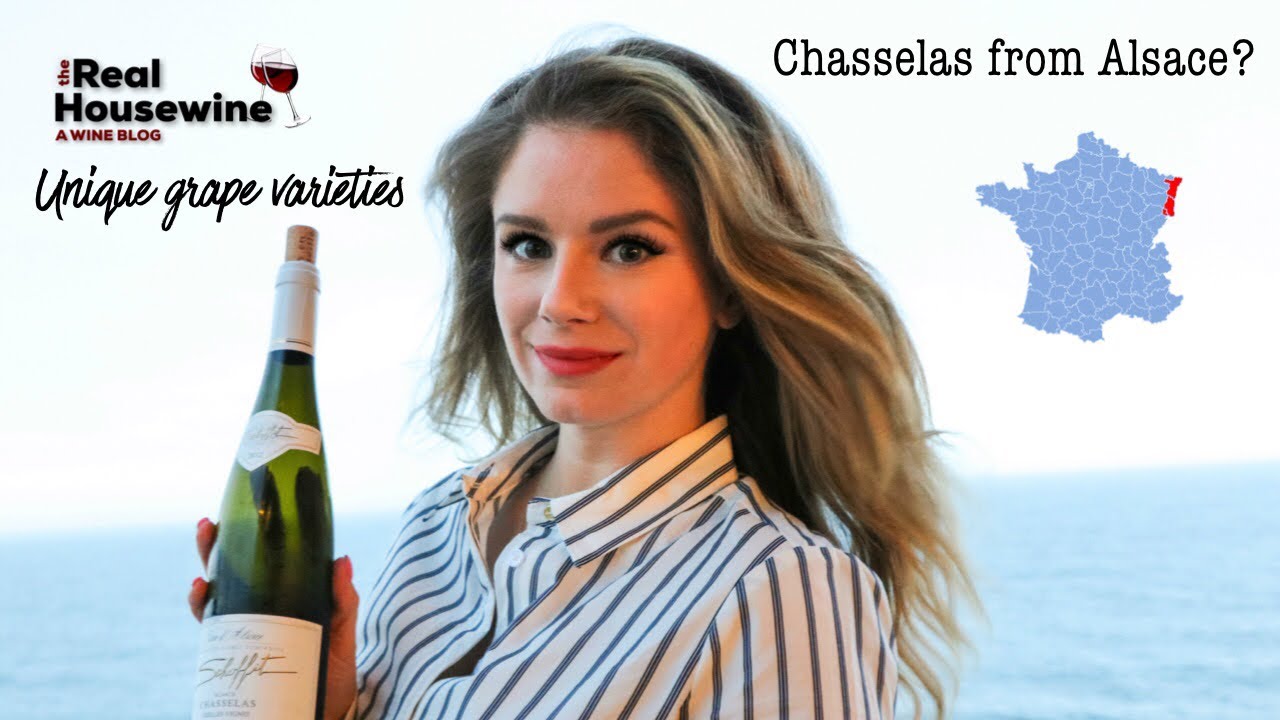 Chasselas from Alsace!?